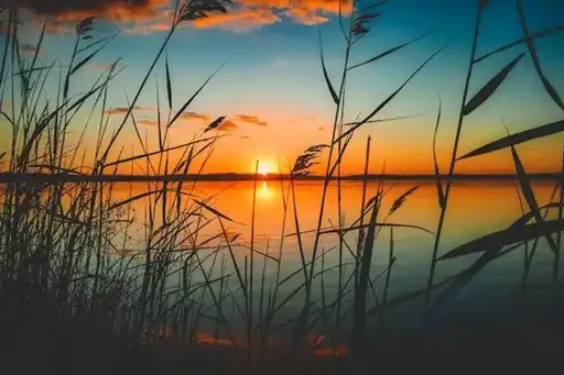 As 10 Soft Skills Mais Desejadas para Líderes em 2026